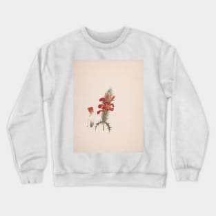 Acanthus Sennii Chiov by Luigi Balugani Crewneck Sweatshirt